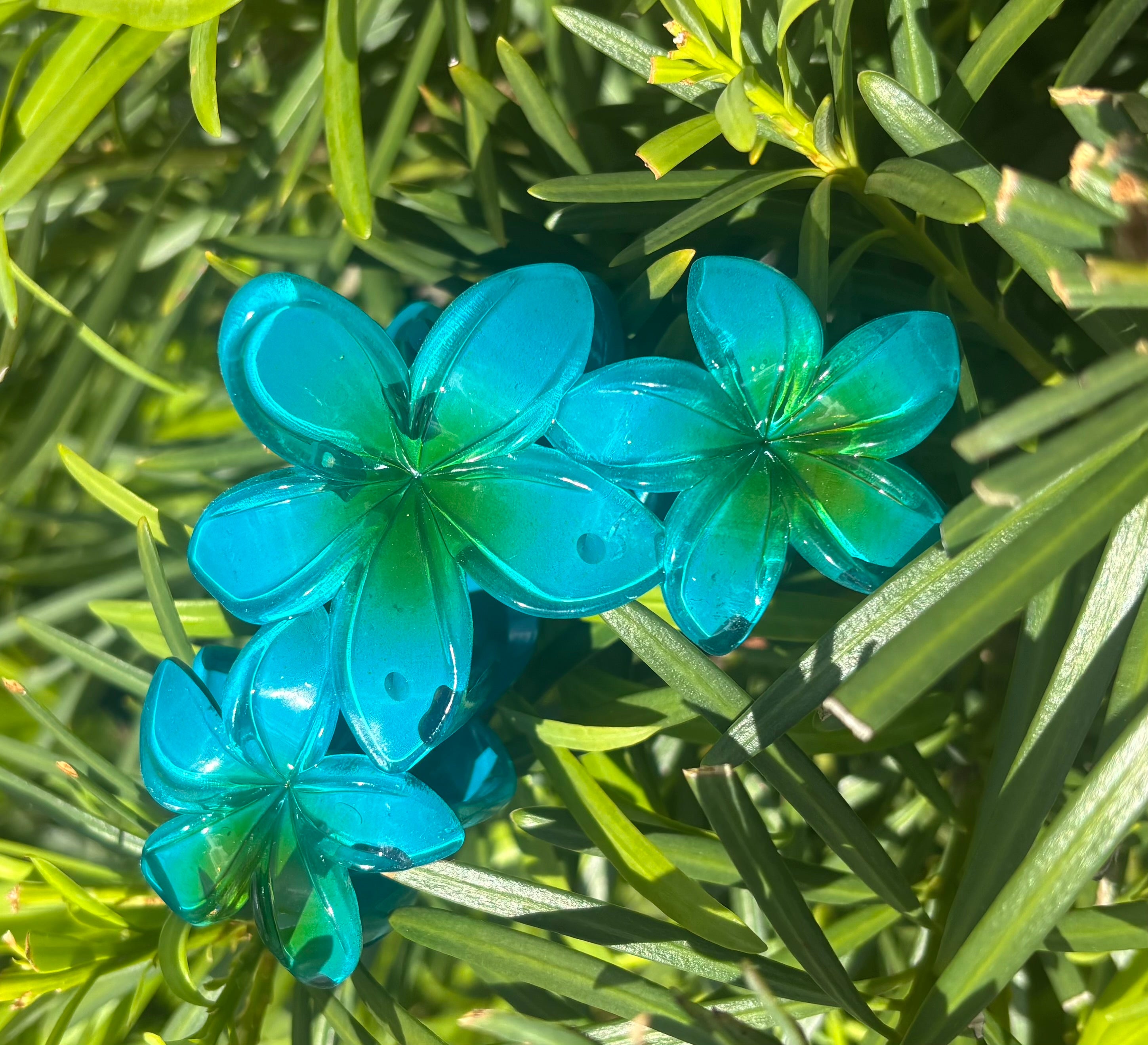 Caribbean Hair Clip