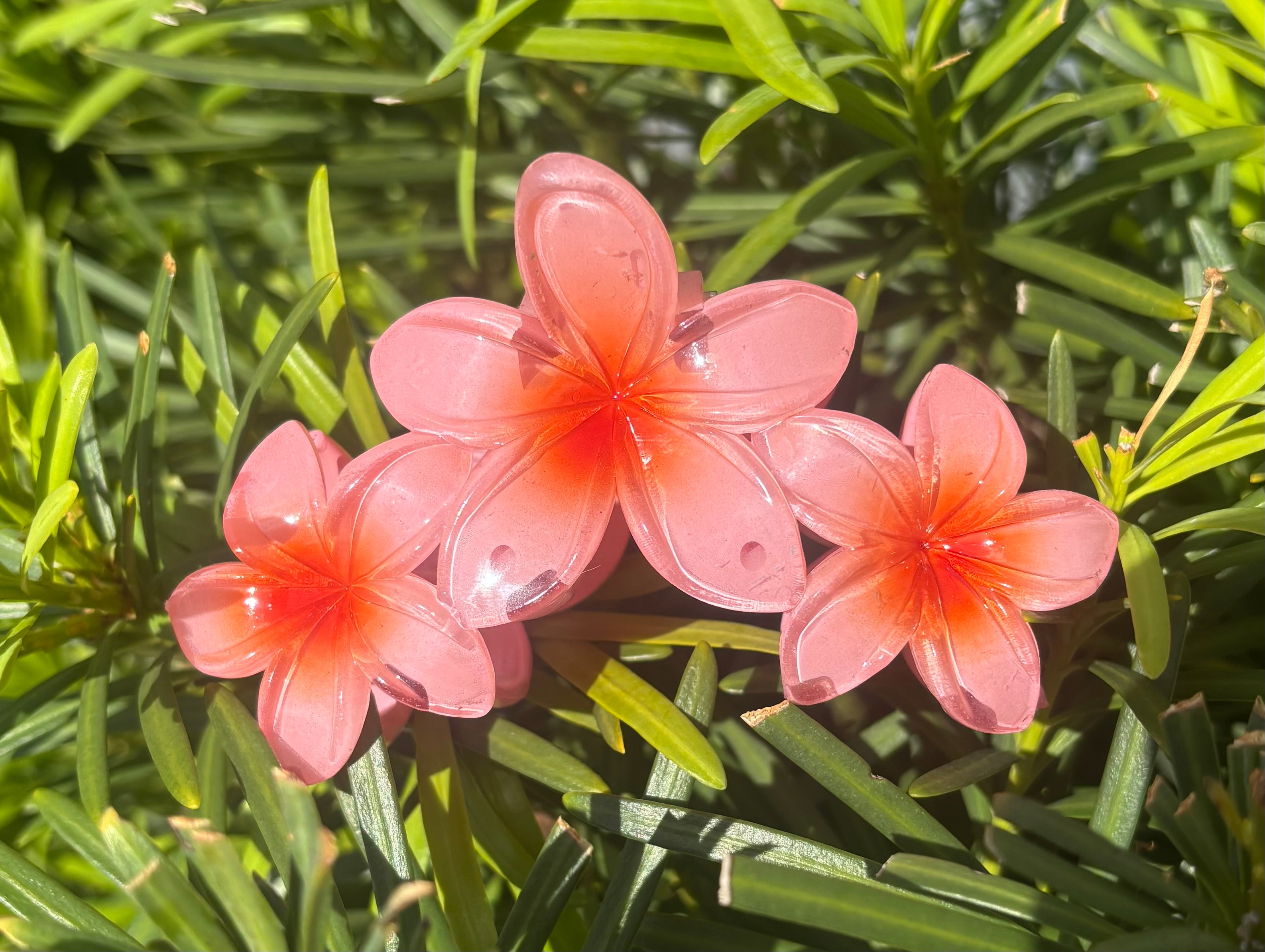 Caribbean Hair Clip